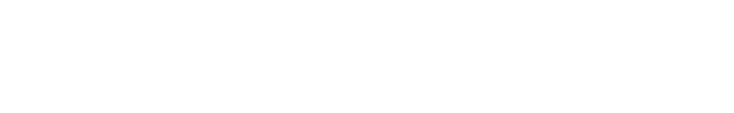 Logo Mega Goglio